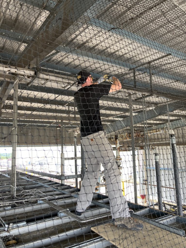 Critter Control technician installing bird netting